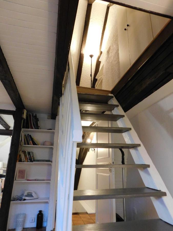 Appartement Typique Et Cosy A Deux Pas De La Cathedrale Strasbourg Ngoại thất bức ảnh