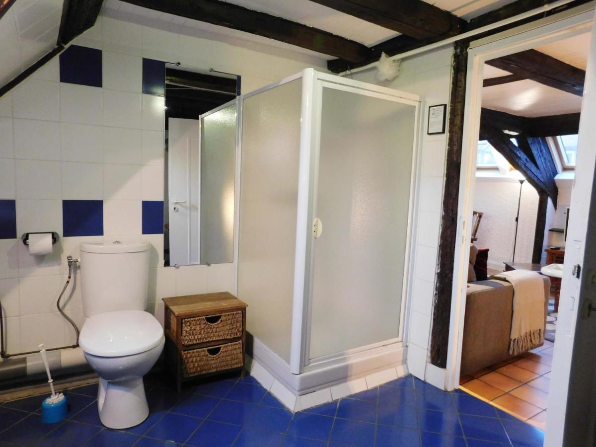 Appartement Typique Et Cosy A Deux Pas De La Cathedrale Strasbourg Ngoại thất bức ảnh