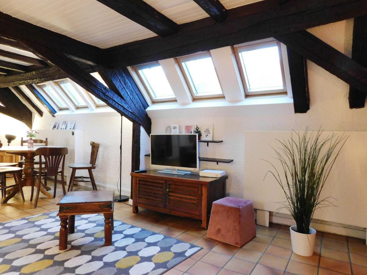Appartement Typique Et Cosy A Deux Pas De La Cathedrale Strasbourg Ngoại thất bức ảnh
